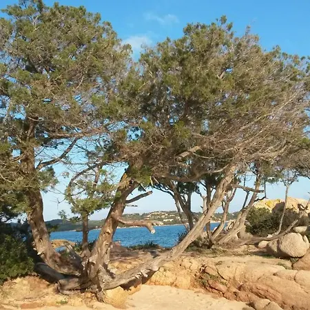 Trilocale Il Parco